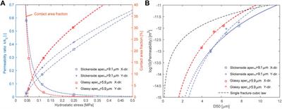 The hydromechanical behavior of opalinus clay fractures: Combining roughness measurements with computer simulations